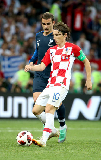 逐渐成长为 逐渐成长为